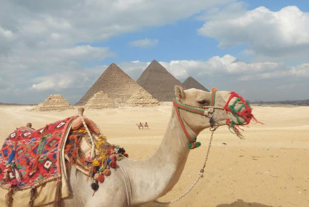 Half-Day Giza Pyramids Tour with Camel Ride